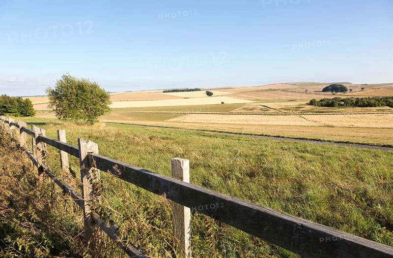 Rolling hills and fields chalk landscape near Beckhampton, Wiltshire, England, UK