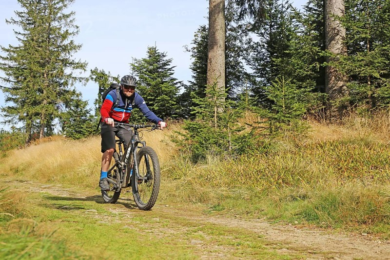Mountain bike tour through the Bavarian Forest with the DAV Summit Club: Mountain bikers in the Bohemian Forest near the border with Bavaria