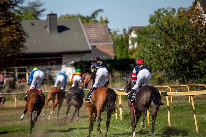 Race day at the racecourse in Hassloch, Palatinate. Hassloch Mile (Category D, 1, 600 metres)