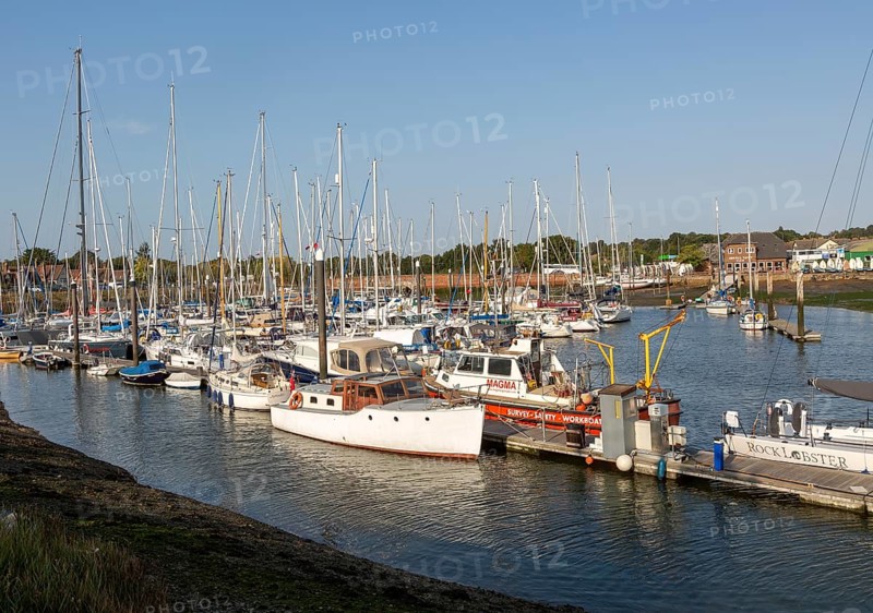 Boats at pontoon berth moorings, Fox's marina and boatyard, Ipswich, Suffolk, England, UK