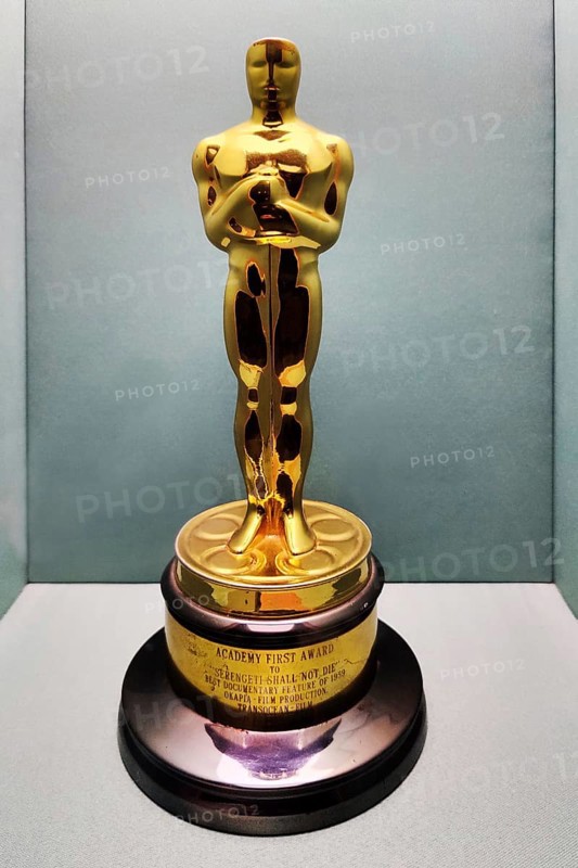 Oscar for Bernhard Grizmek for the documentary film Serengeti must not die, Haus der Geschichte, Bonn, Germany, Europe