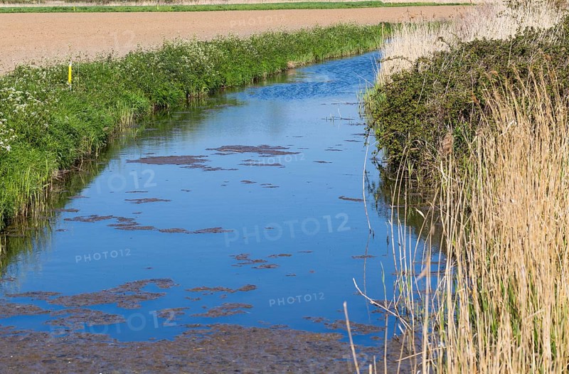 Water in drainage ditch channel through arable farmland, Hollesley, Suffolk, England, UK