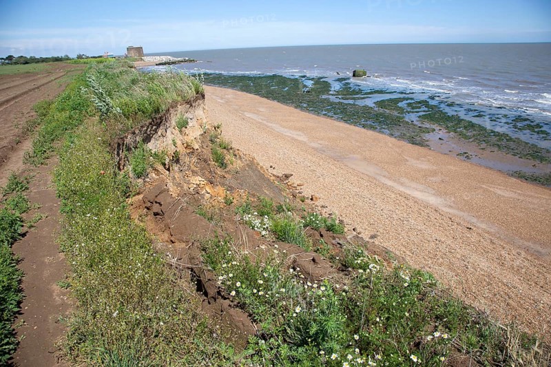 Mass movement collapse of soft cliffs due to coastal erosion at East Lane, Bawdsey, Suffolk, England, UK