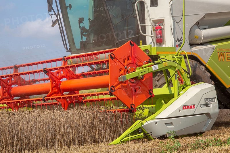 Grain harvest near Hockenheim, Baden-Wuerttemberg