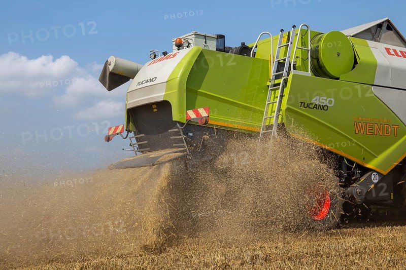 Grain harvest near Hockenheim, Baden-Wuerttemberg