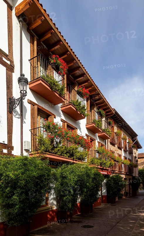 Historic buildings in town of Ezcaray, La Rioja Alta, Spain, Europe