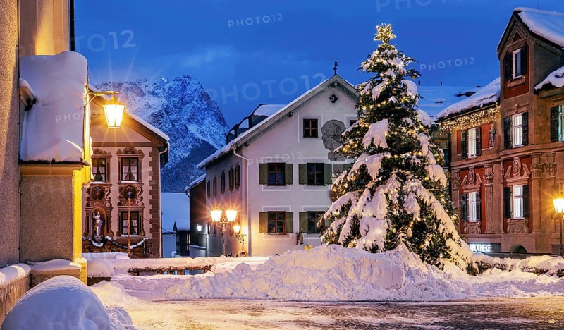 Snow-covered Christmas tree on the historic Ludwigstrasse in the Partenkirchen district with Zugspitze 2962m at dusk, Garmisch-Partenkirchen, Loisachtal, Werdenfelser Land, Upper Bavaria, Bavaria, Germany, Europe