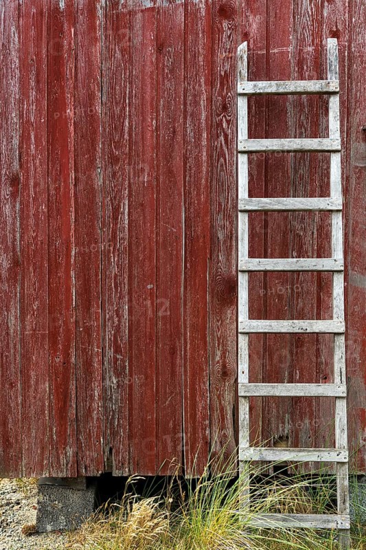 Wooden ladder leaning against the red wooden wall of a fisherman's hut, Hvide Sande, Midtjylland region, Denmark, Europe