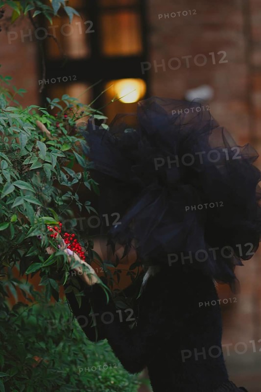 A woman in motion wearing a tulle hat among berries, with warm evening light in the background