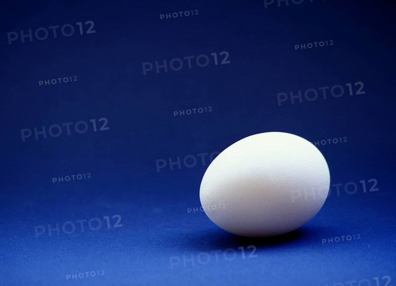 Closeup of one single henÂ´s egg, chicken egg