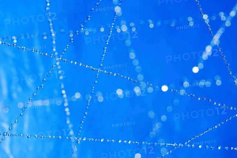 Small blue water droplets hang on fishing line