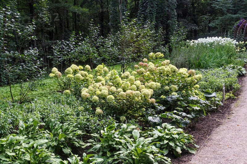 Complex flower bed of perennial plants in the city park. Druskininkai, Lithuania, Europe