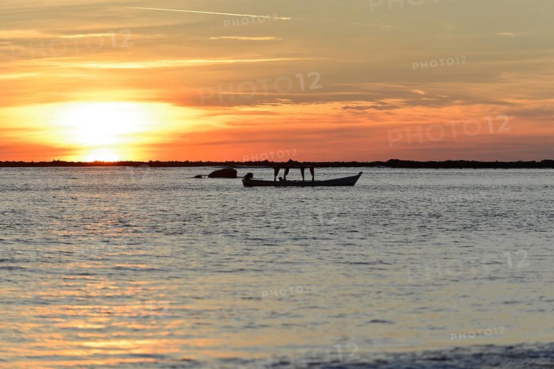 Beach, fishing village, Ngapali Beach, Thandwe, Burma, Burma, Myanmar, Asia