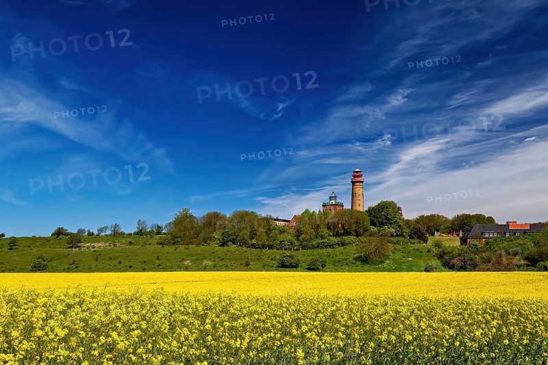 Rapeseed fields at the lighthouse of Cape Arkona on Ruegen