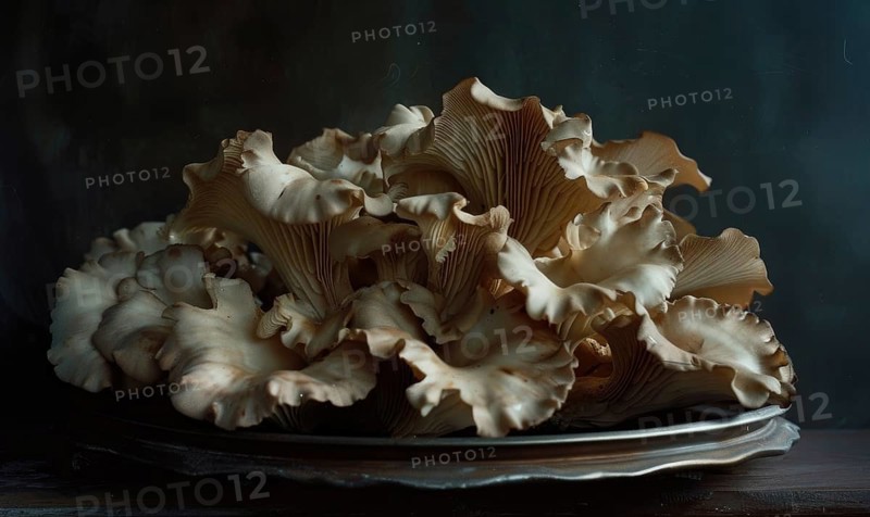 Oyster mushrooms on a dark background. Close-up. AI generated