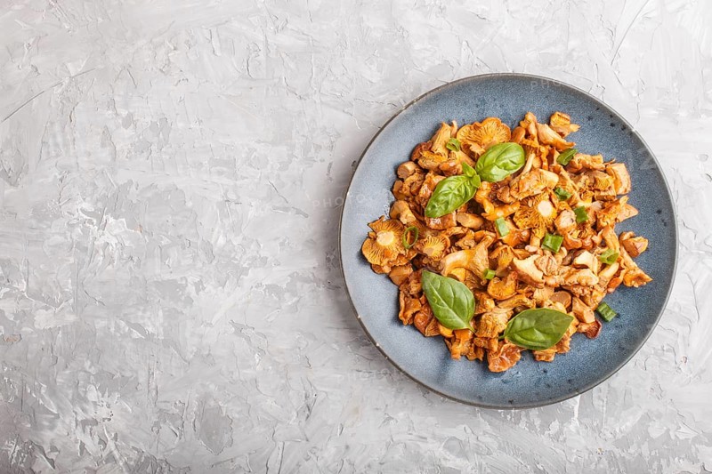 Fried chanterelle mushrooms with basil and spice herbs on gray concrete background. Top view, flat lay, copy space