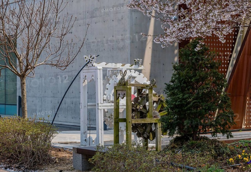 Two wooden waterwheels in front of building framed be cherry blossoms, leafless tree and evergreen tree in South Korea