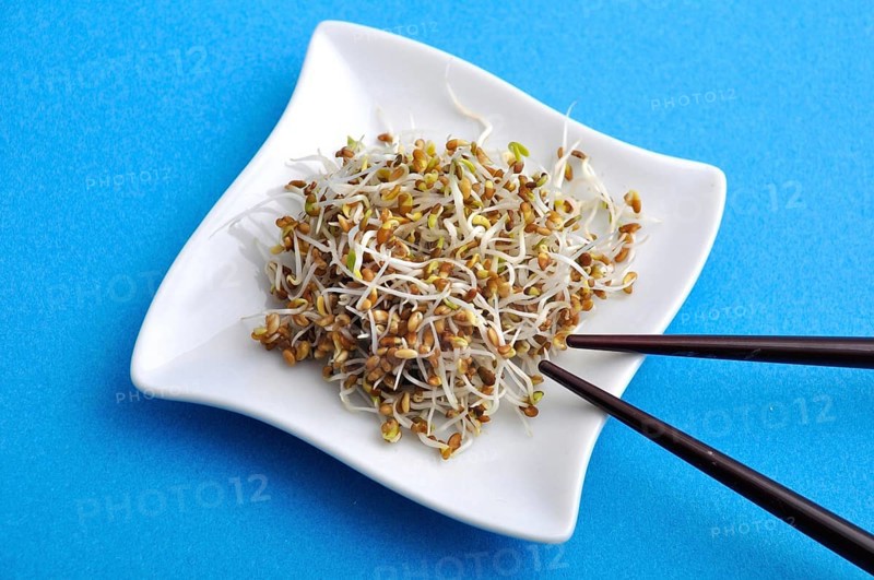 A white plate with sprouts and chopsticks against a blue background suggests a healthy vegetarian meal