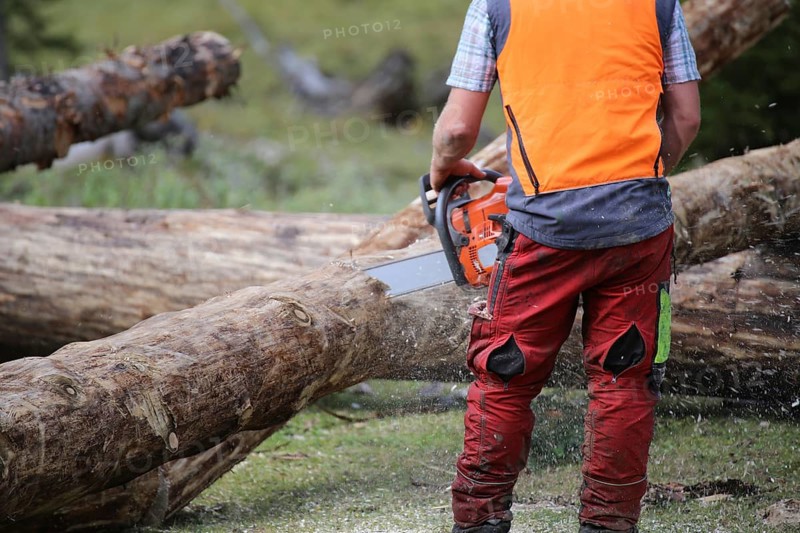 Logging work in the local forest, here in Upper Bavaria