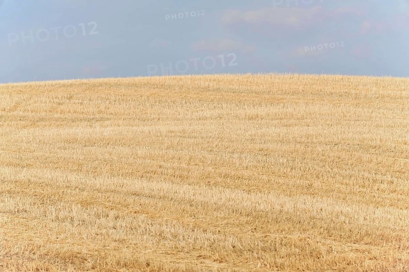 Harvested fields south of Siena, Crete Senesi, Tuscany, Italy, Europe
