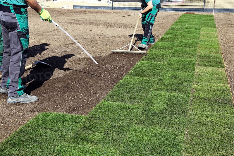 Gardener lays sod