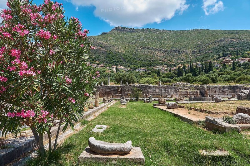 View of ancient ruins with blooming oleander and a mountainous landscape in the background, Archaeological site, Ancient Messene, capital of Messinia, Messini, Peloponnese, Greece, Europe