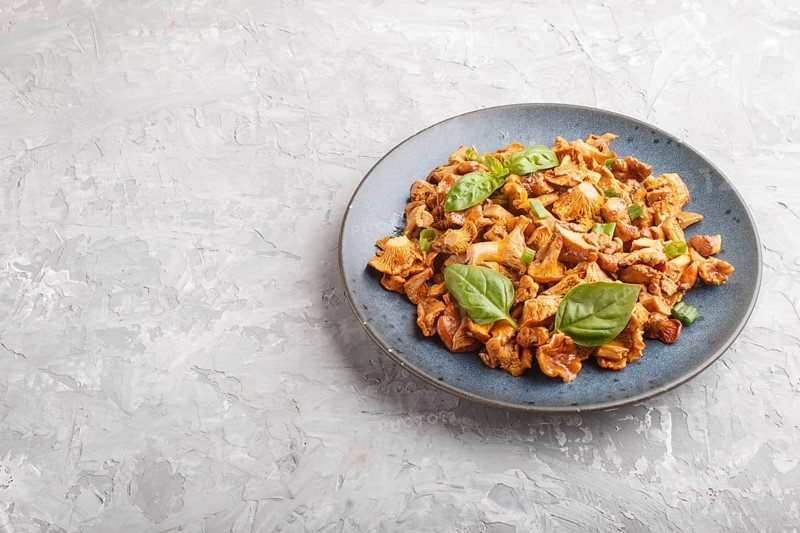 Fried chanterelle mushrooms with basil and spice herbs on gray concrete background. Side view, copy space