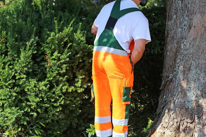 Man cutting hedges and greenery