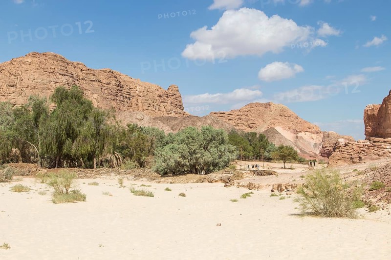 Oasis in desert, red mountains, rocks and blue sky. Egypt, the Sinai Peninsula, Dahab