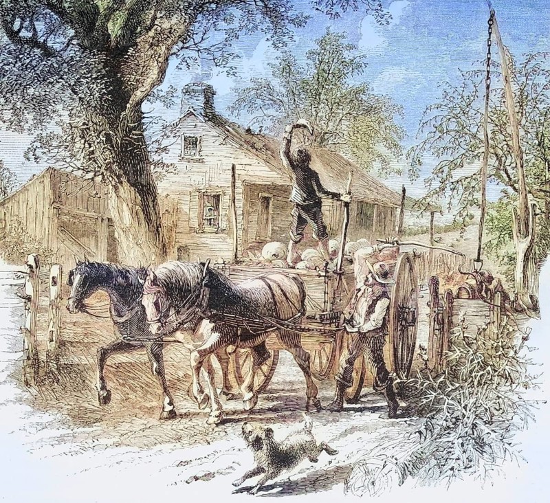 Homestead in Kansas in the 1870s. From American Pictures Drawn With Pen And Pencil by Rev Samuel Manning c. 1880, United States, America, Historic, digitally restored reproduction from a 19th century original, Record date not stated, North America