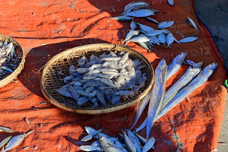 Pisces Ngapali Beach, Thandwe, Burma, Burma, Myanmar, Asia