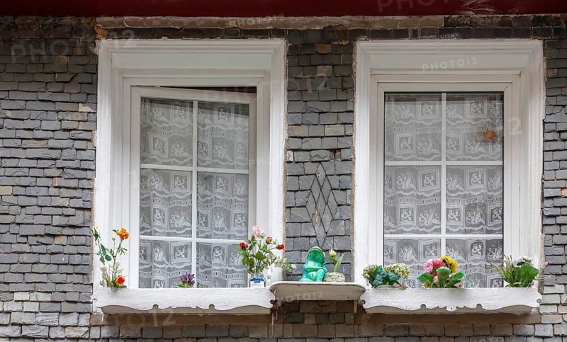 Slate-clad house facade, two windows and decoration made of artificial flowers, historic old town, Morlaix, Departements Finistere, Brittany, France, Europe