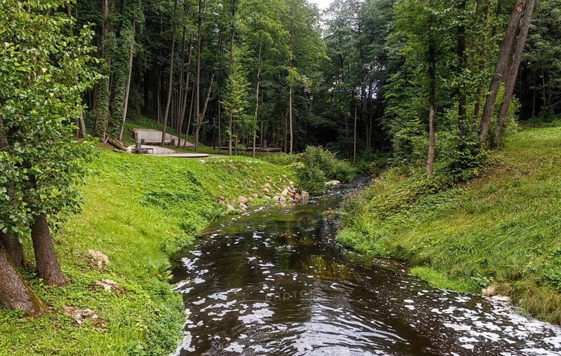 A forest park with large trees and creative benches and arches. Druskinikai, Lithuania, Europe