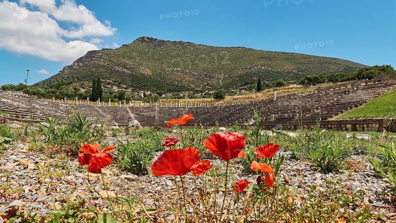 Bright red poppies in the foreground of an ancient amphitheatre with mountain backdrop, stadium, archaeological site, Ancient Messene, capital of Messinia, Messini, Peloponnese, Greece, Europe