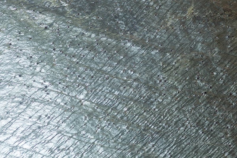 The texture of natural stone, sandstone, limestone, granite