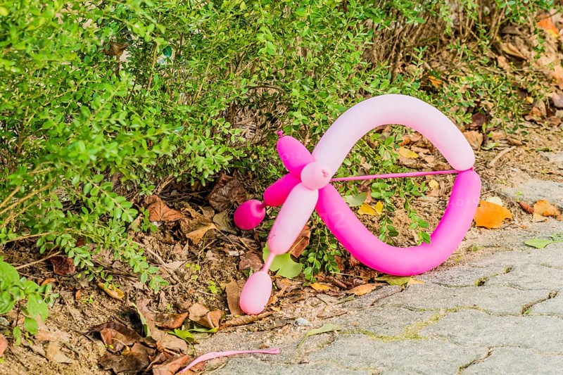 Pink balloon discarded on brick walkway next to row of bush hedges in South Korea