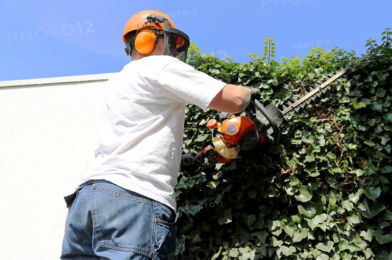 Man cutting hedges and greenery