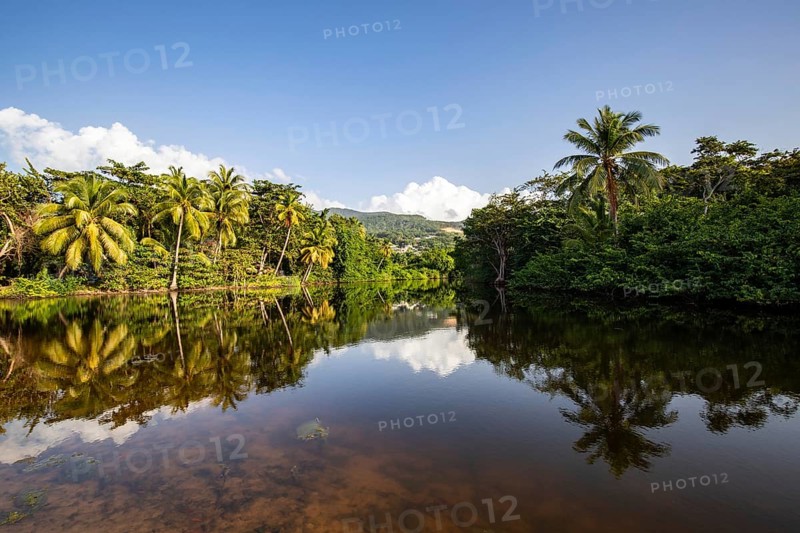 View of a river arm, a tropical mangrove landscape and the natural surroundings of Grande Anse Beach, Basse Terre, Guadeloupe, the French Antilles and the Caribbean, North America