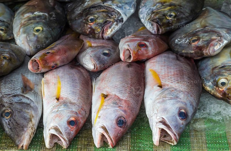 Fresh red snapper on ice in the market