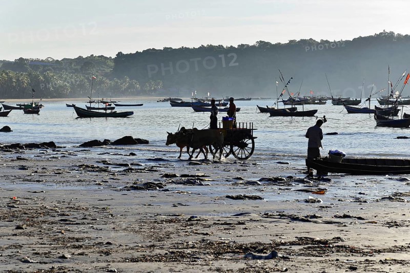 Ngapali Beach, Thandwe, Burma, Burma, Myanmar, Asia