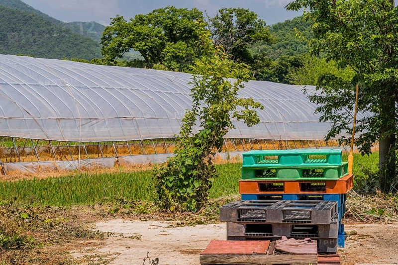 Plastic loading pallets stacked on concrete walkway beside greenhouse in mountainous countryside in South Korea