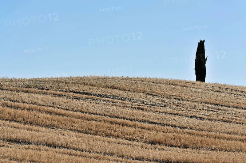 Harvested wheat field, landscape north of Sorano, Tuscany, Italy, Europe