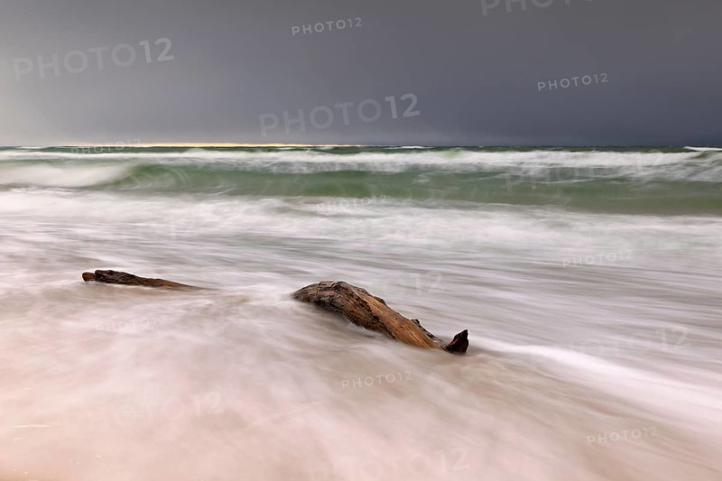 Driftwood in the fringing of the western beach near Prerow with storm clouds in the background