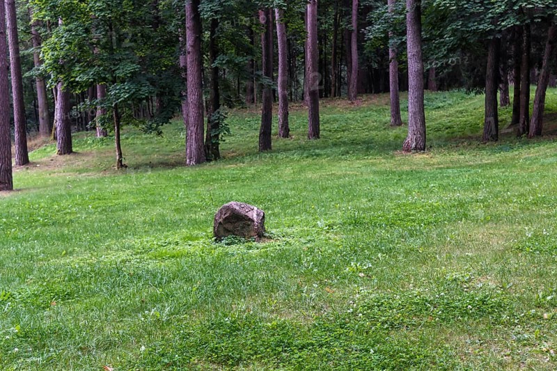 A green lawn with large trees growing in it in the city park of Druskininkai. Lithuania