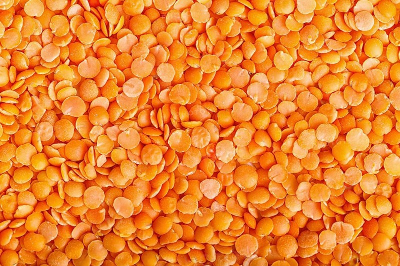 Texture of red lentils. Top view