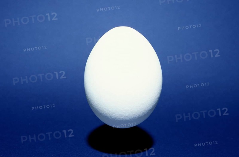 Closeup of one single henÂ´s egg, chicken egg