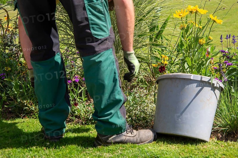 Landscape gardener gardening in the flower bed