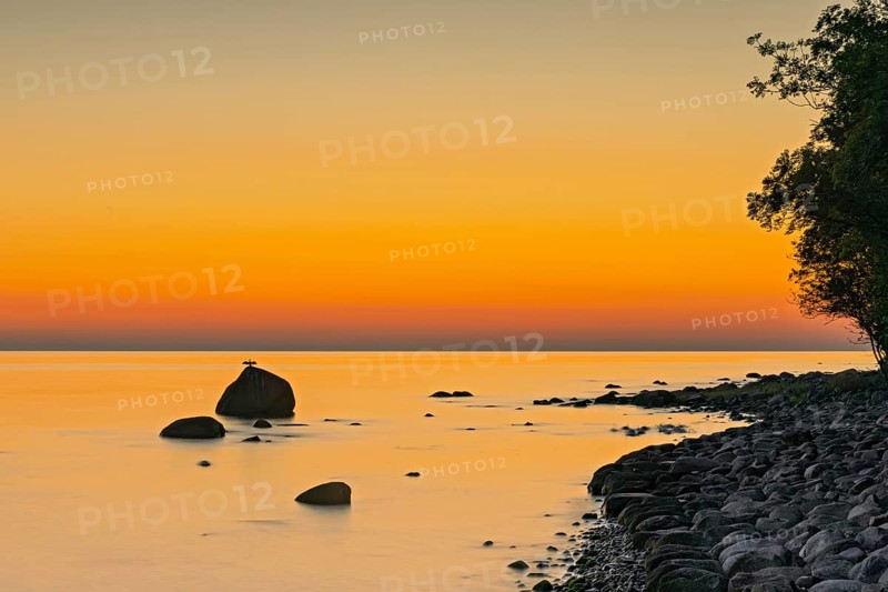 Dawn at the striking rock on the coast of Lohme on the island of Ruegen. A comoran lasts a long time during the long exposure
