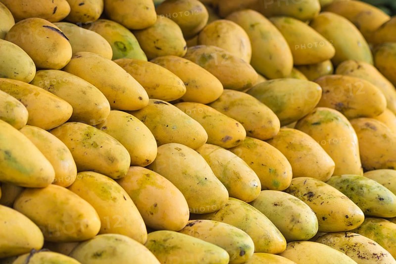 Ripe mango on the market