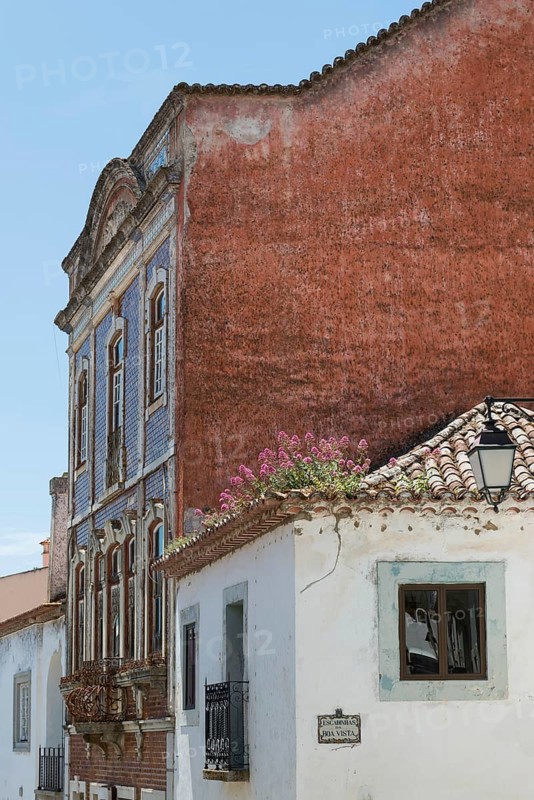 Flower-covered roof, lovely, idyllic, flowers, decoration, architecture, travel, holiday, dilapidated, old building, Mediterranean, village, rural, Southern Europe, Monchique, Algarve, Portugal, Europe